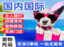 库车龟兹机场托运国际宠物托运 【国